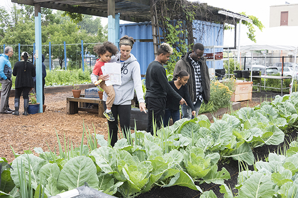 In the outdoor beds at Farm on Ogden, visitors admire the next crop to be harvested.