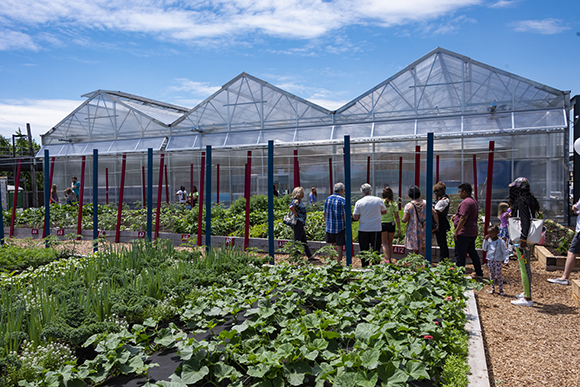 Visitors get a tour of the Farm on Ogden.