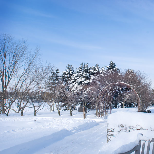 Regenstein Fruit & Vegetable Garden Fruit Trees in Winter