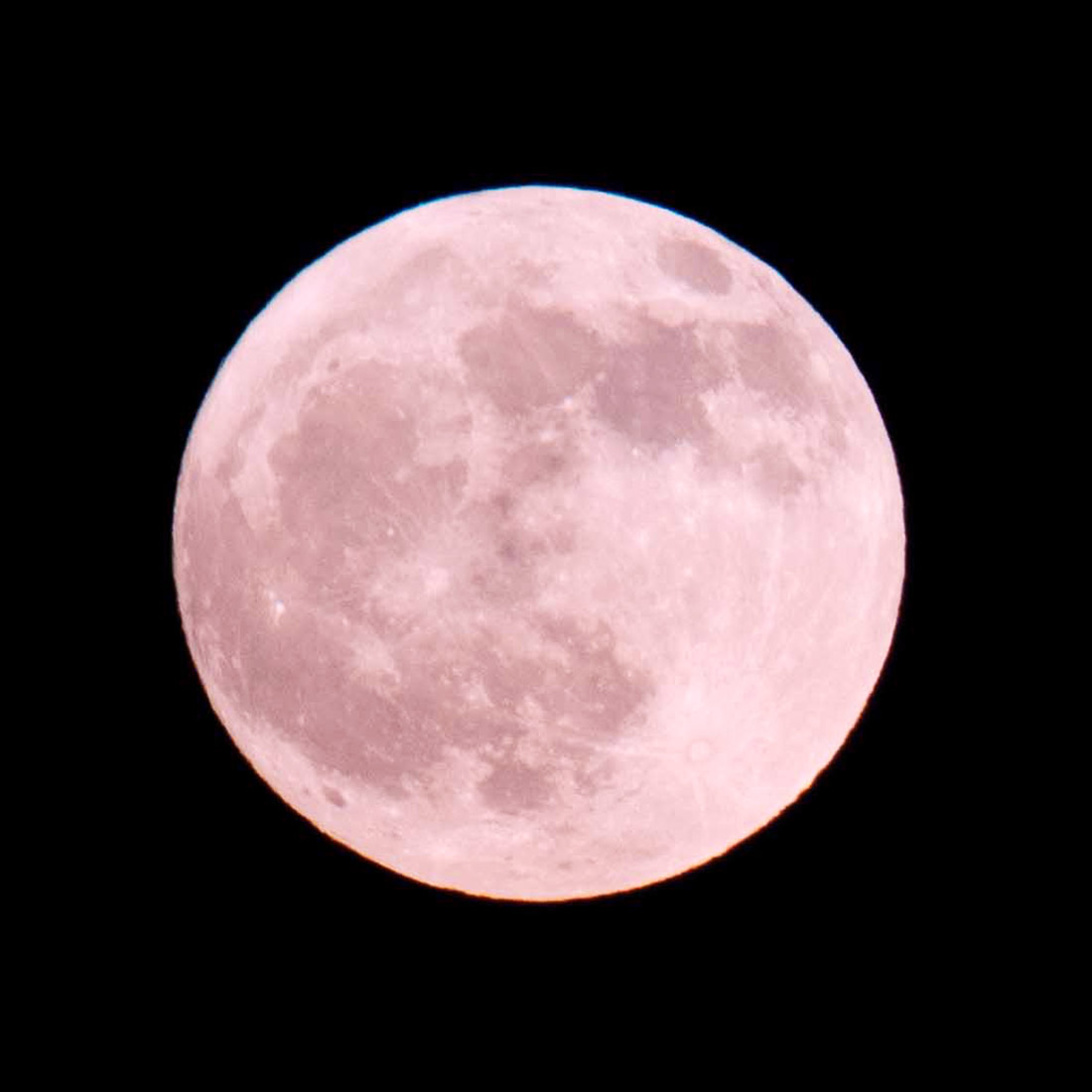 super pink moon