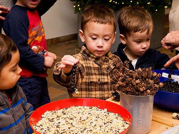 Decorate with natural materials