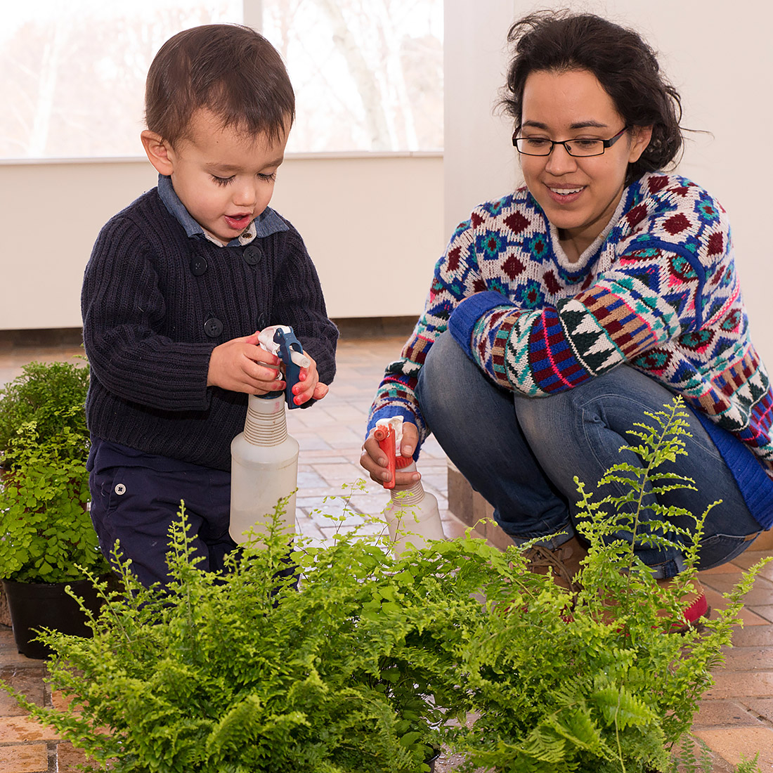 Gift a plant