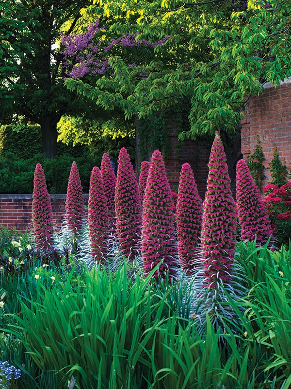 English Walled Garden