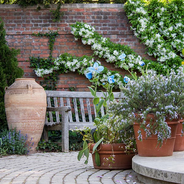 English Walled Garden