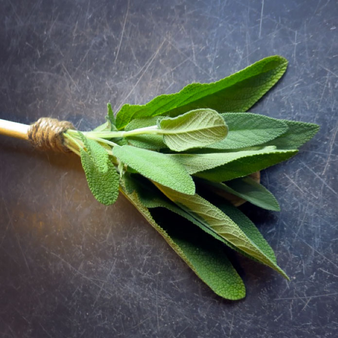 Herb Brushes for the Grill