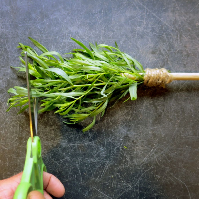 Herb Brushes for the Grill
