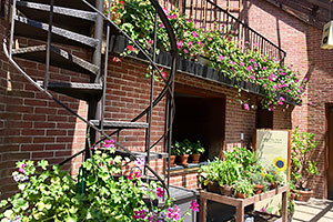 Fire escape inspiration at the Fruit and Vegetable Garden.