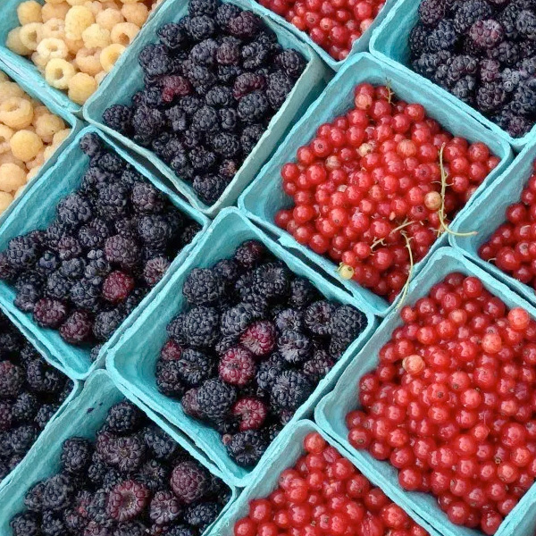 PHOTO: Different kinds of berries in baskets, lined up in a grid.