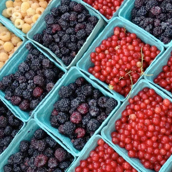 PHOTO: Different kinds of berries in baskets, lined up in a grid.