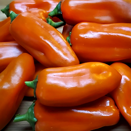 Juneteenth Garden - Peppers