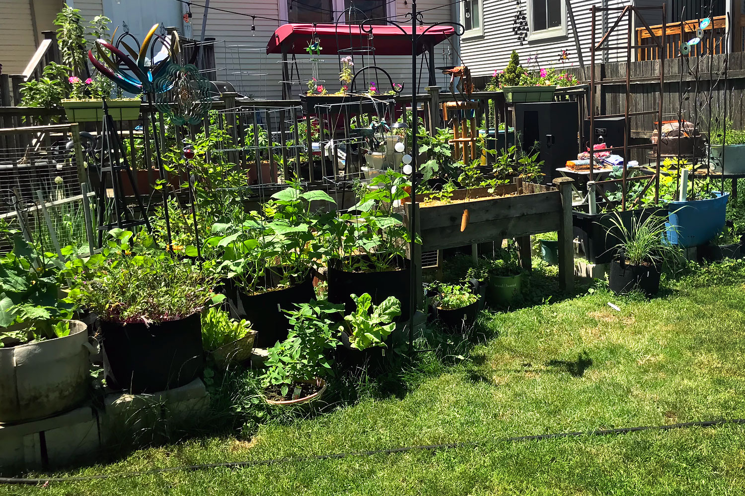 Tequia's Juneteenth Garden