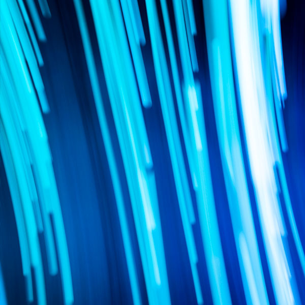 lightscape at chicago botanic garden
