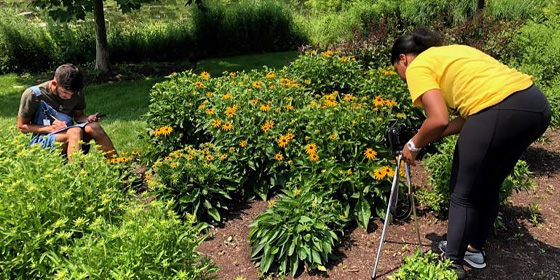 Graduate students observing pollinators 