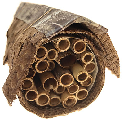 DIY Native Bee Home