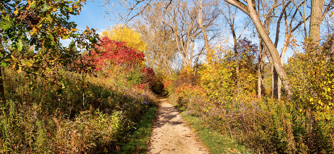 Barbara Brown Nature Reserve