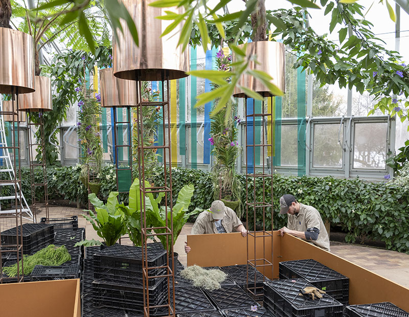 Orchid Show setup