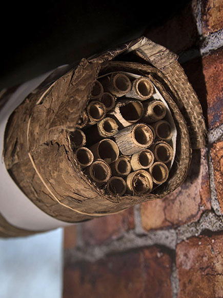 How to Make a Mason Bee Home