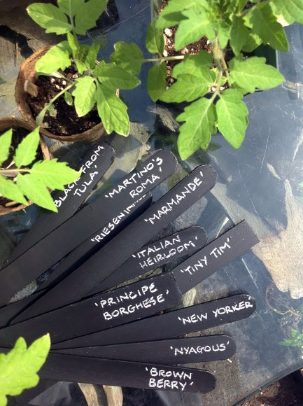 PHOTO: Pile of black plant markers with names inscribed.