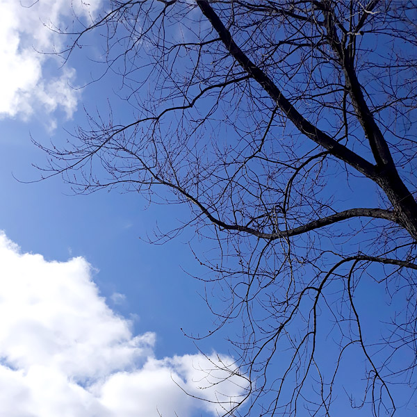 Nature Rainbow Scavenger Hunt