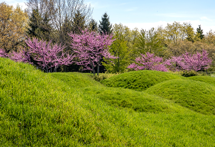 Nature Play Garden