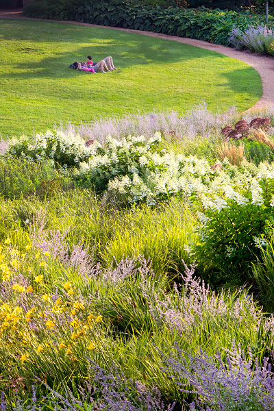 Find a Sit-Spot in Nature