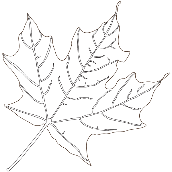 Fall Leaf Coloring Activity