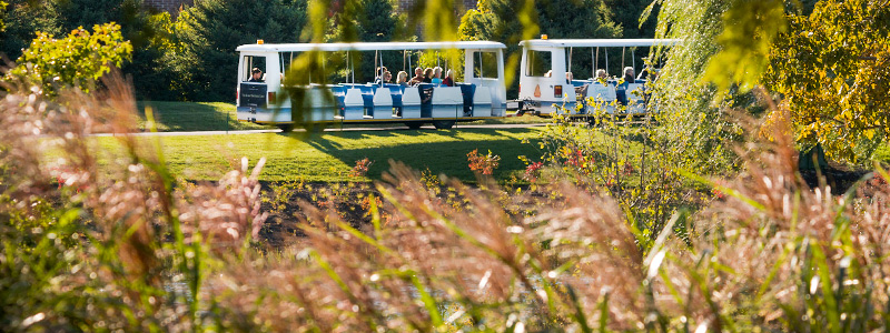 Tram at the Garden