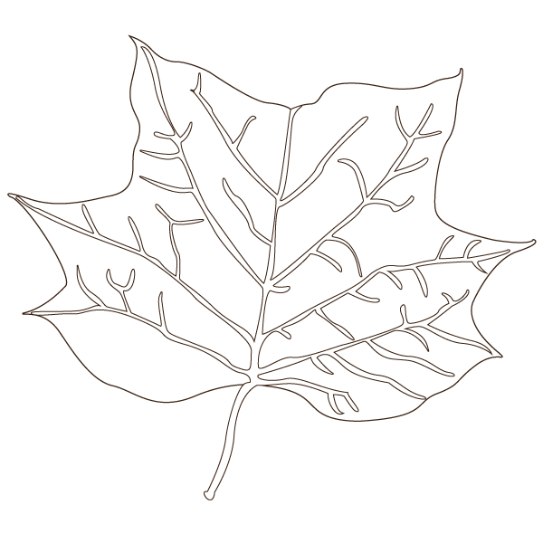 Fall Leaf Coloring Activity