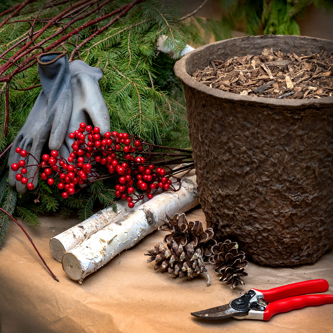 Making Winter Containers