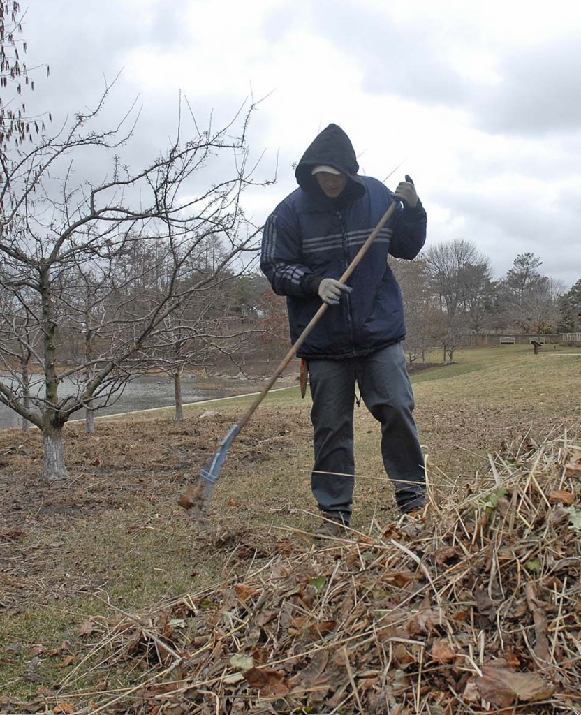  Spring Lawn Care for Homeowners