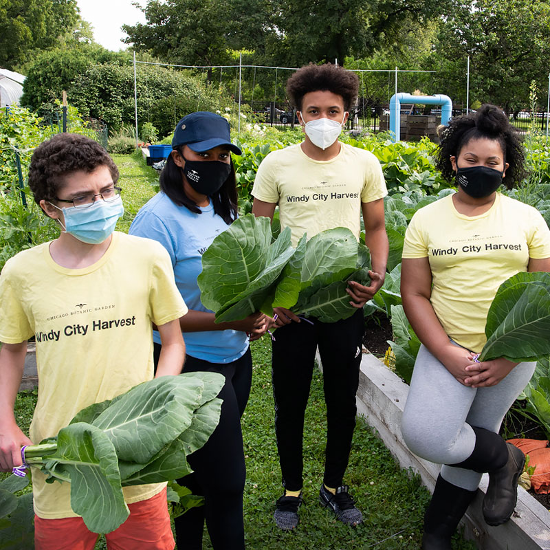 Windy City Harvest Youth Farm