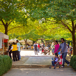 Fall Bulb Festival