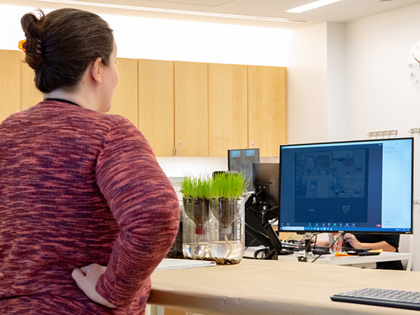 Online Teacher Programs