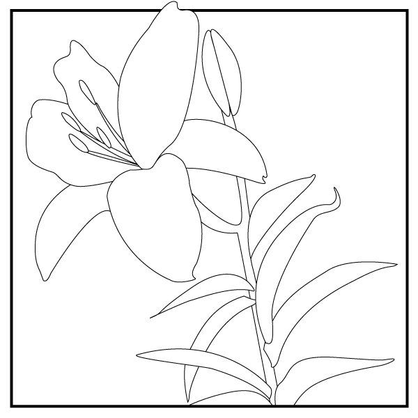 Download a Coloring Page
