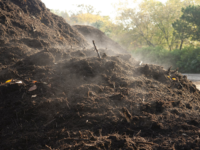 Compost pile