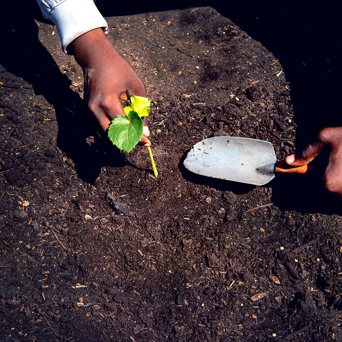 The Joy of Composting