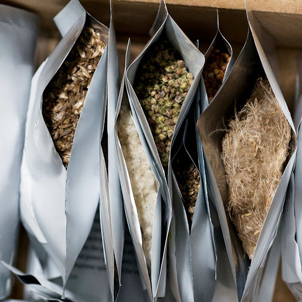 seed storage