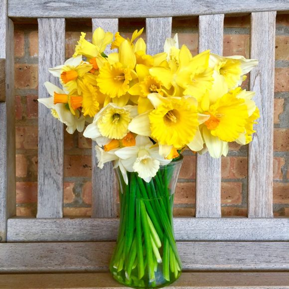 Daffodil Bouquet