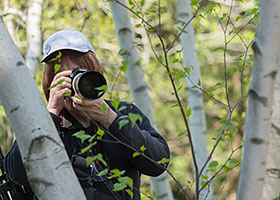 Photography Certificate