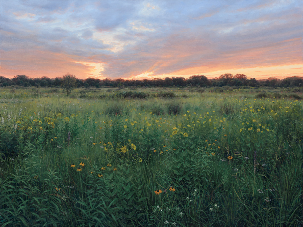 Paintings of Prairie Environments By Philip Juras