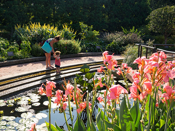 End Of Summer Chicago Botanic Garden