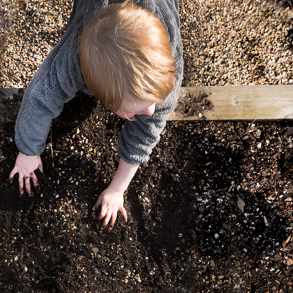 Family Activity Guide - Planting Activities