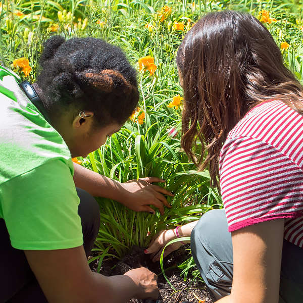 Family Activity Guide - Science Budburst