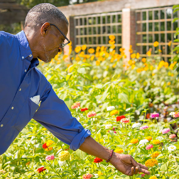 Father's Day Gardening