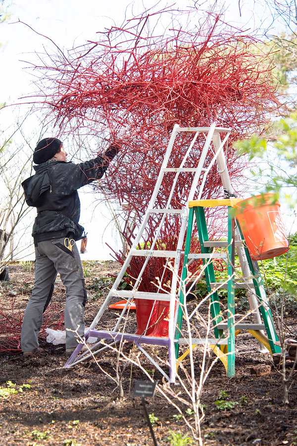 Cornelia Konrads - Installation