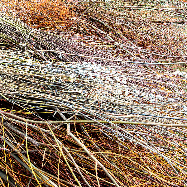 Patrick Dougherty - Medium