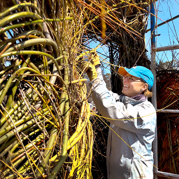 Patrick Dougherty - Installation