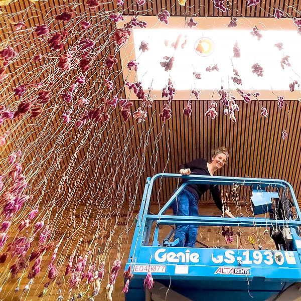 Rebecca Louise Law - Herbarium