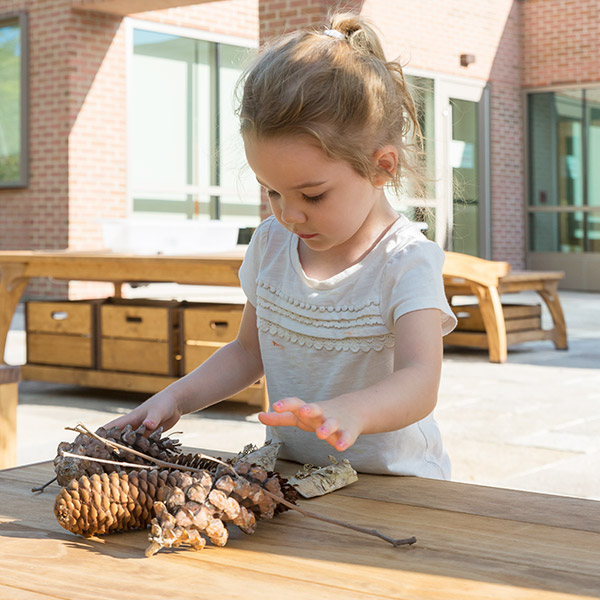 Pinecone decorating