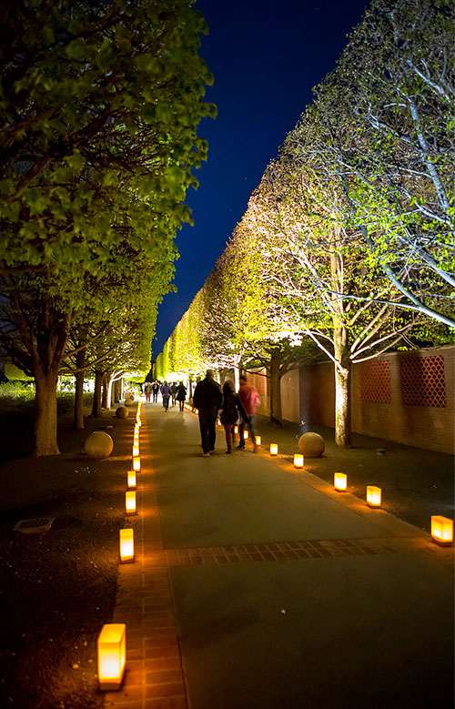 Garden Lighting